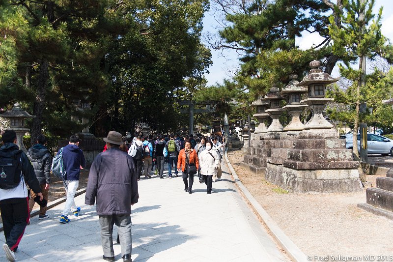 20150313_132236 D4S.jpg - Strolling in park with several shrines.  Kyoto is one of the best preserved cities in Japan with 1600 Buddhist temples and 400 Shinto shrines